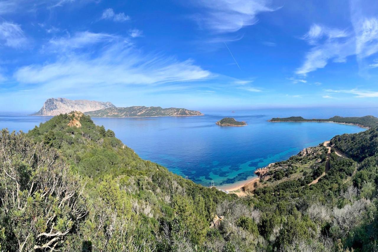 San Teodoro Punta Est Curatissimo Bilocale Apartman Capo Coda Cavallo Kültér fotó