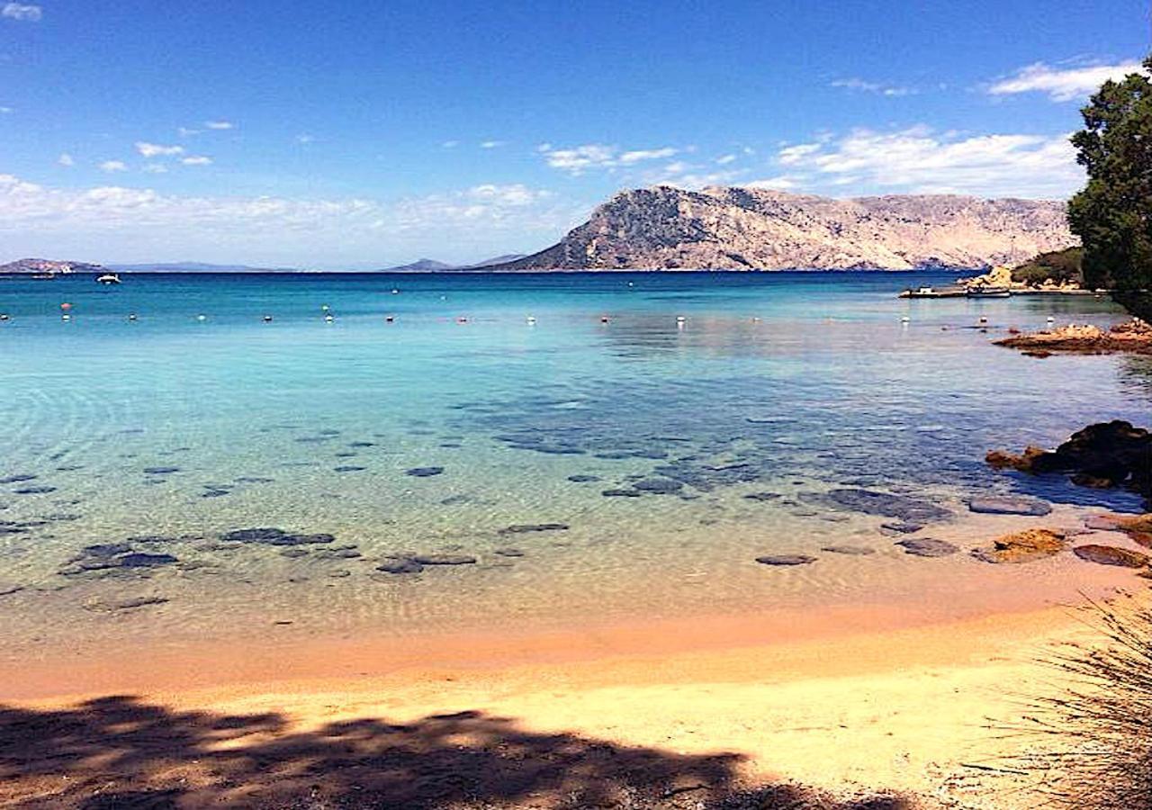San Teodoro Punta Est Curatissimo Bilocale Apartman Capo Coda Cavallo Kültér fotó