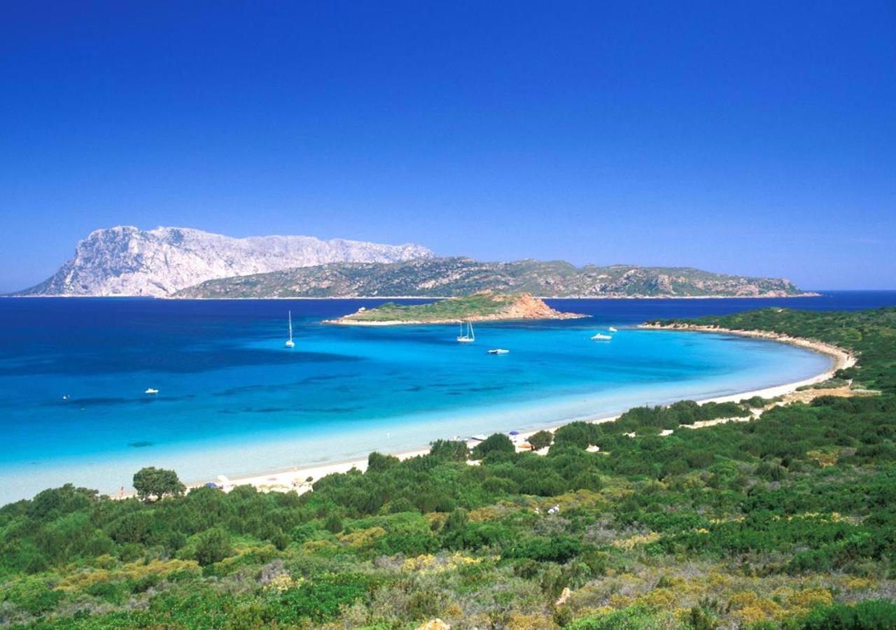 San Teodoro Punta Est Curatissimo Bilocale Apartman Capo Coda Cavallo Kültér fotó