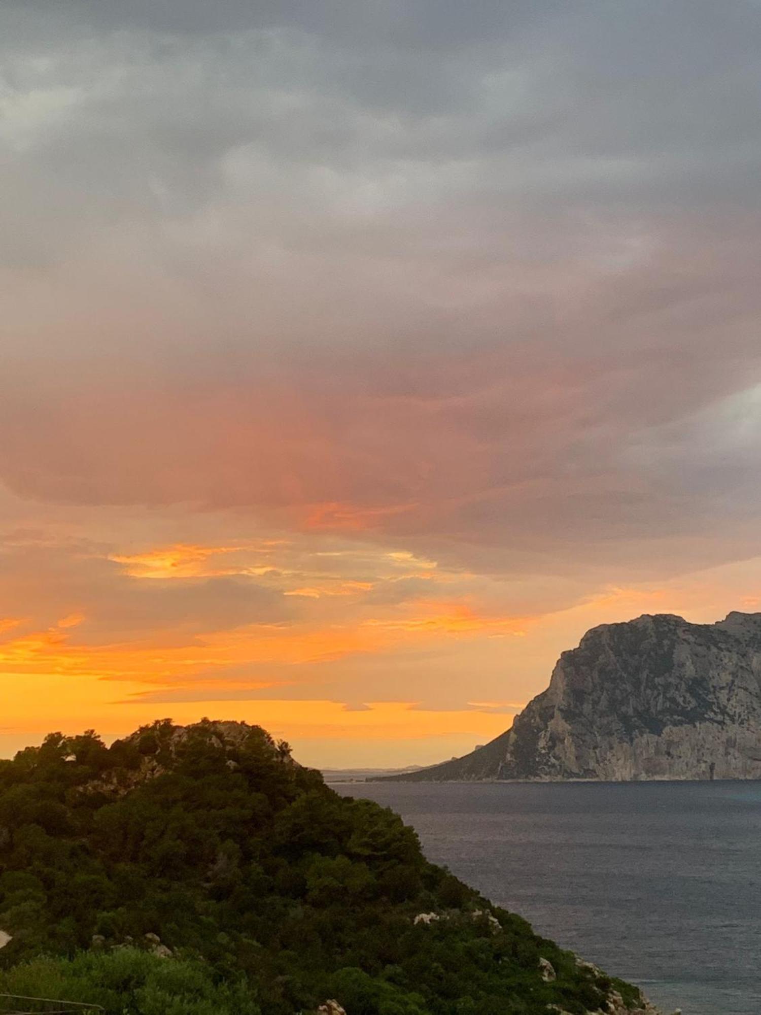 San Teodoro Punta Est Curatissimo Bilocale Apartman Capo Coda Cavallo Kültér fotó